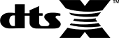 DTS X logosu